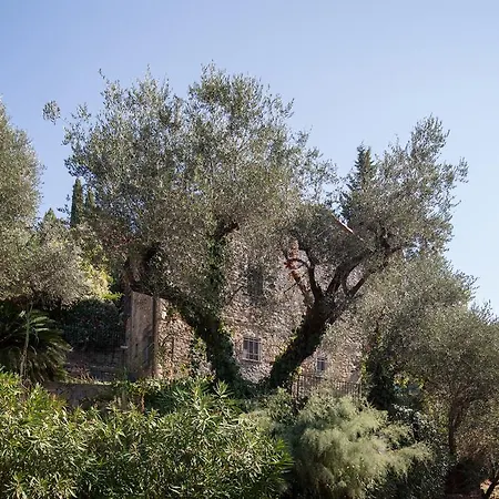 Apartment 2 Parking - Lerici Center & Home - Rustegu Duze *